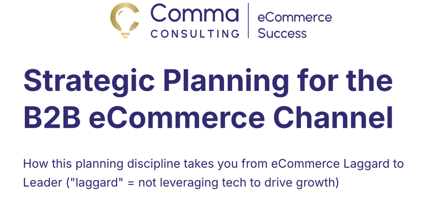 Read More about Strategic Planning for B2B eCommerce - the roadmap to evolve B2B Organisations from laggard to leader